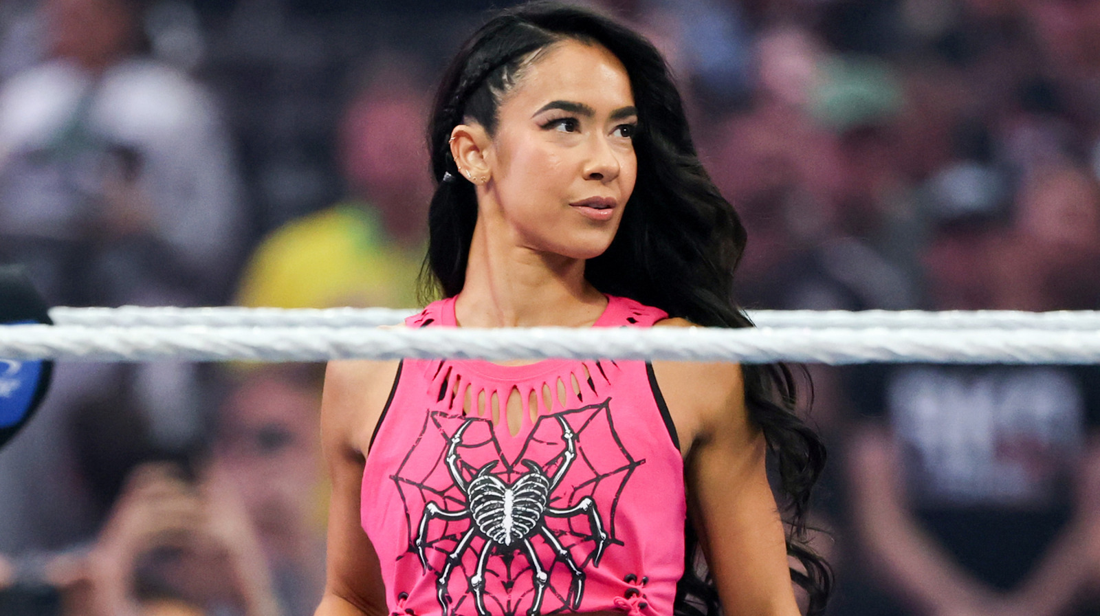 A ex-estrela da WWE Kaitlyn comenta sobre os recentes retornos dos ex-campeões das Divas AJ Lee e Paige