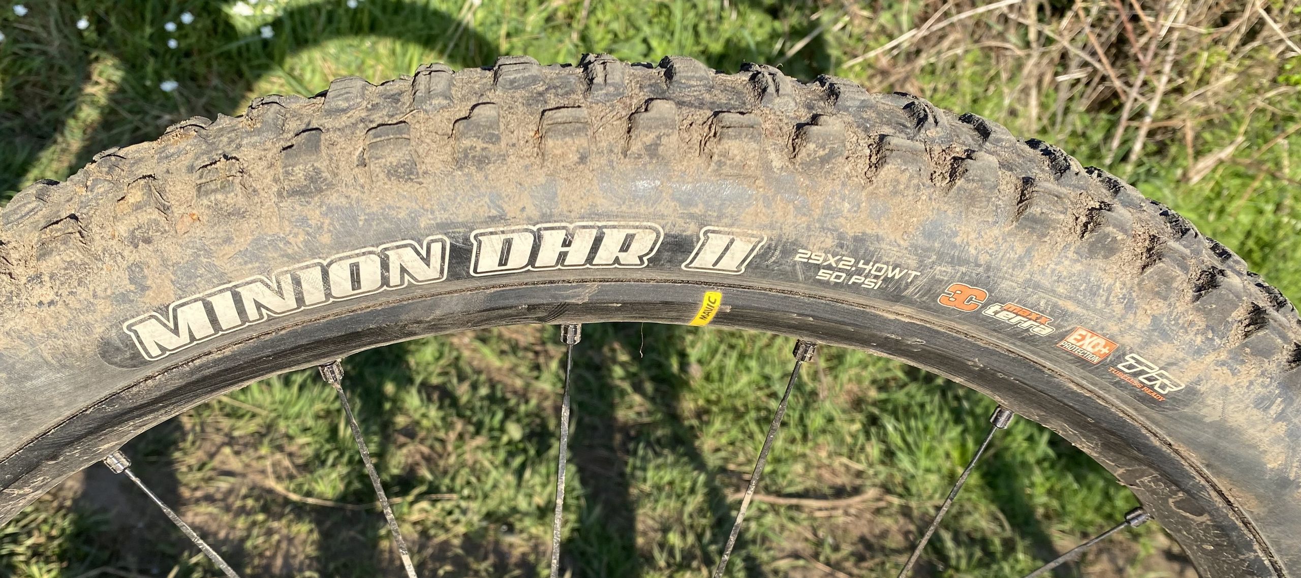 Análise do Maxxis Minion DHR II