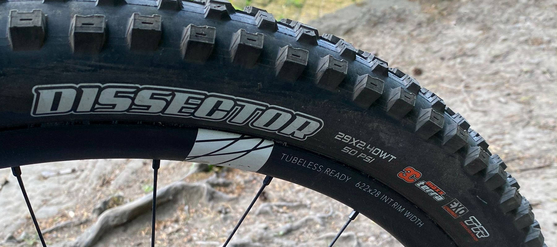 A Maxxis Dissector tyre fitted to a MTB wheel