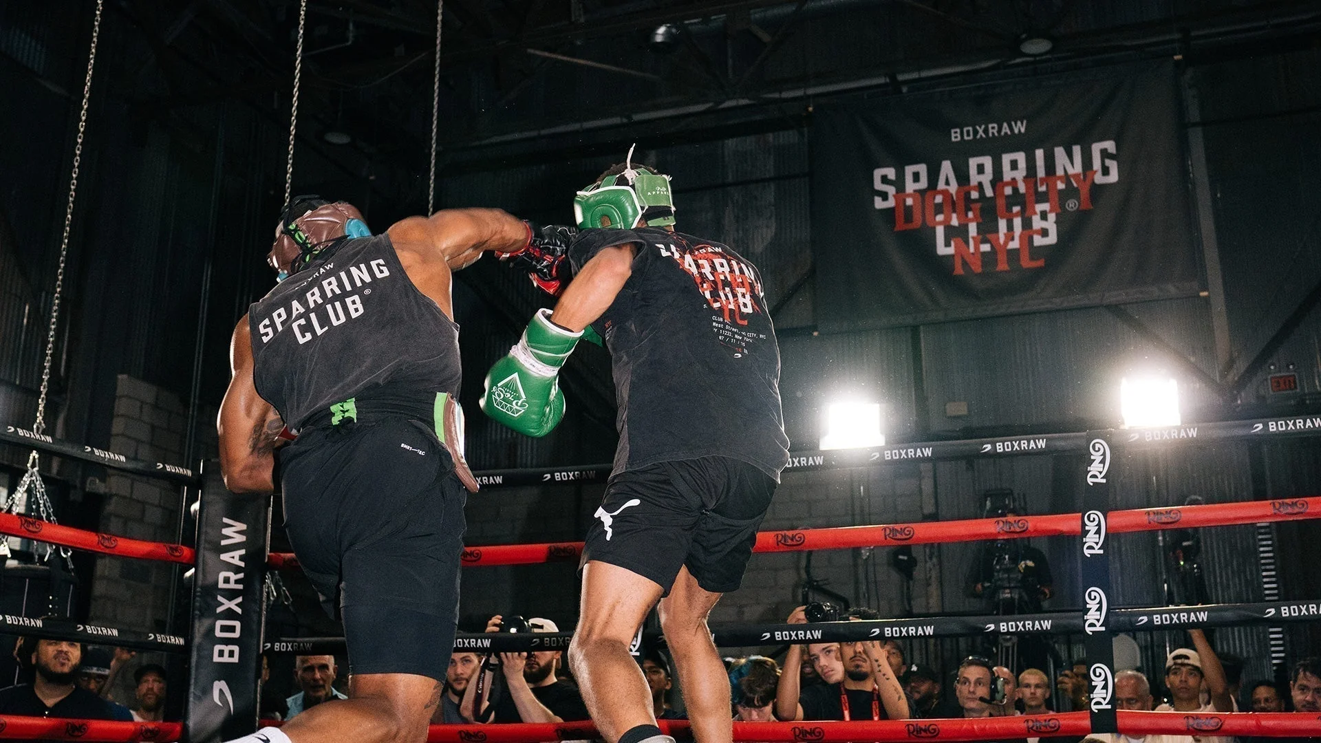 BOXRAW Sparring Club Dog City Nova York