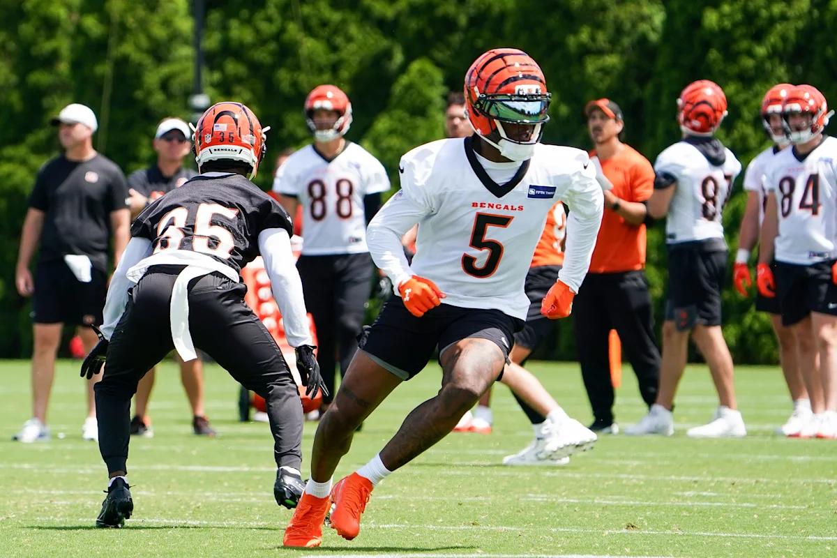 Eis: o favorito dos fãs do Bengals visto no estádio Savannah Bananas