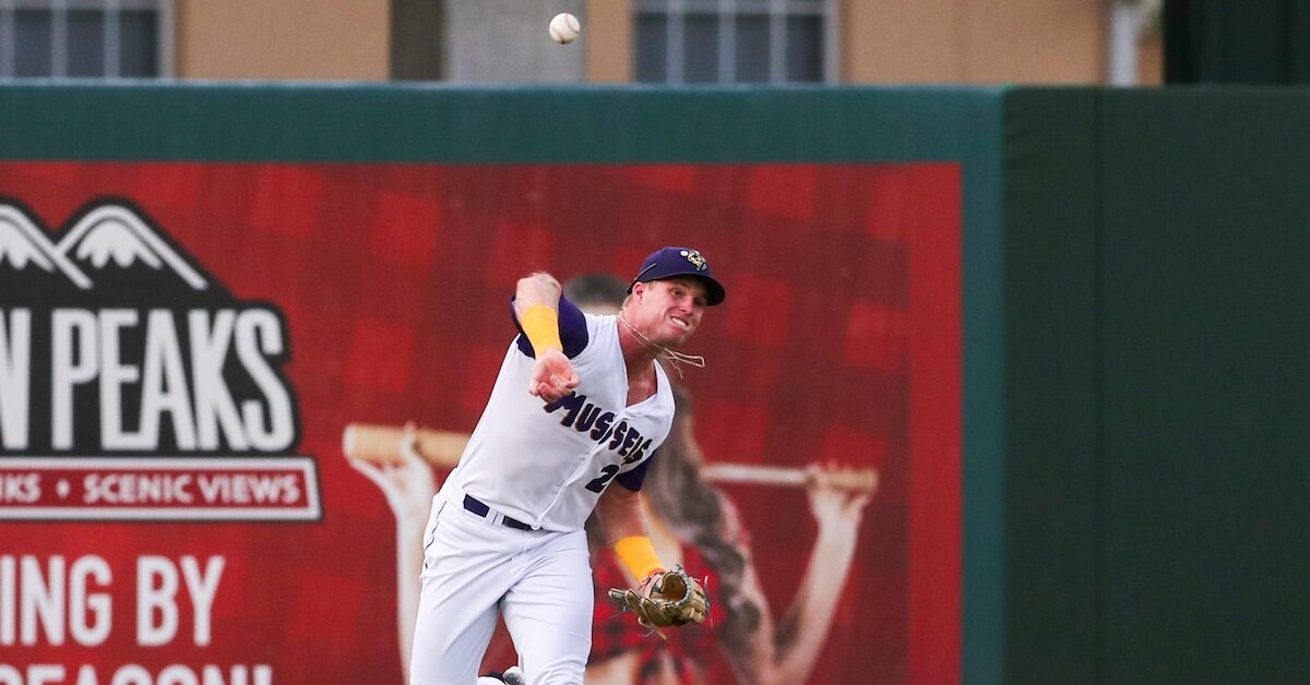 Os 50 melhores prospectos do Minnesota Twins