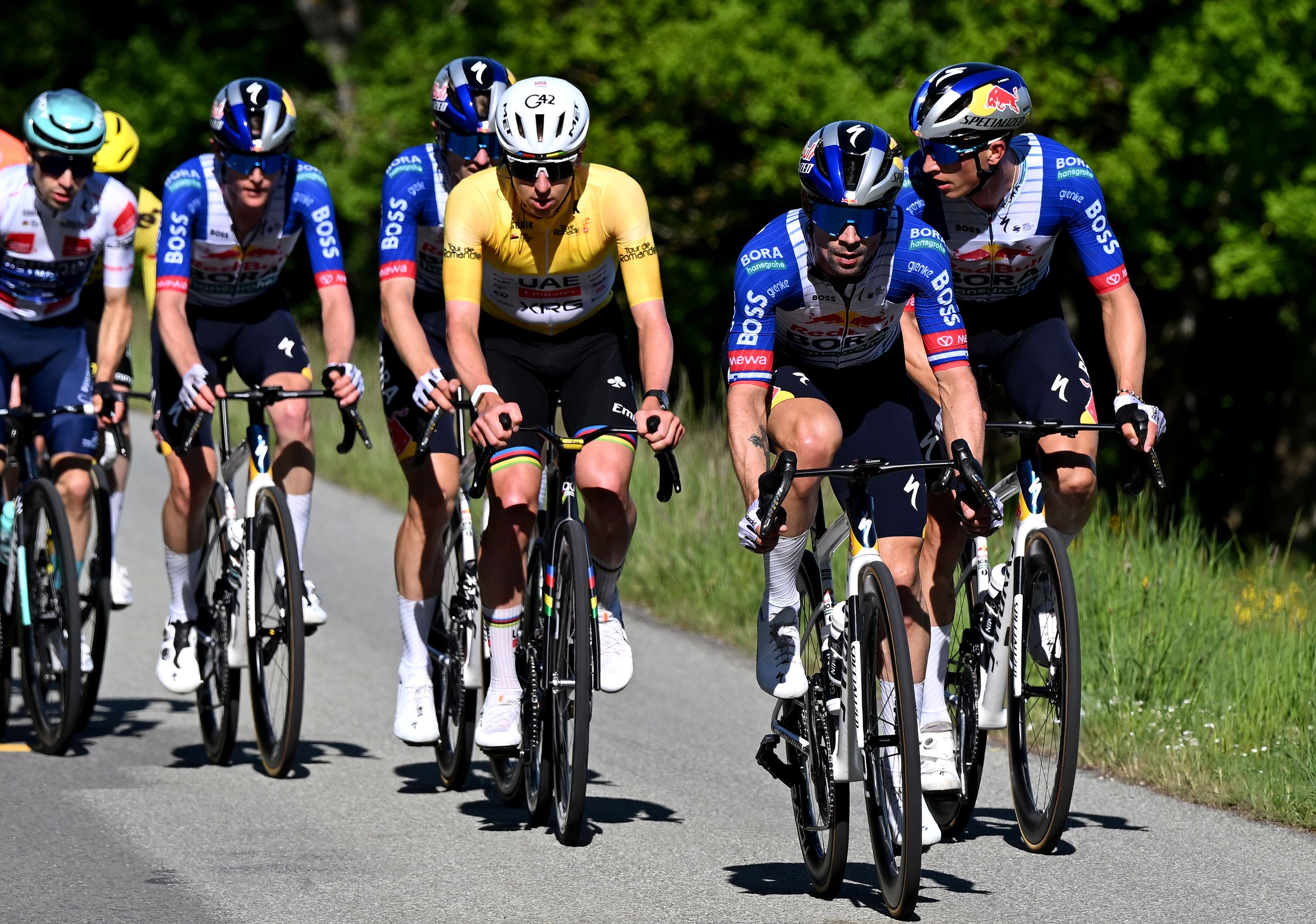 Primož Roglič enfrenta Tadej Pogačar no Tour de Suisse em busca de títulos definitivos de GC em sete grandes corridas de ciclismo de uma semana