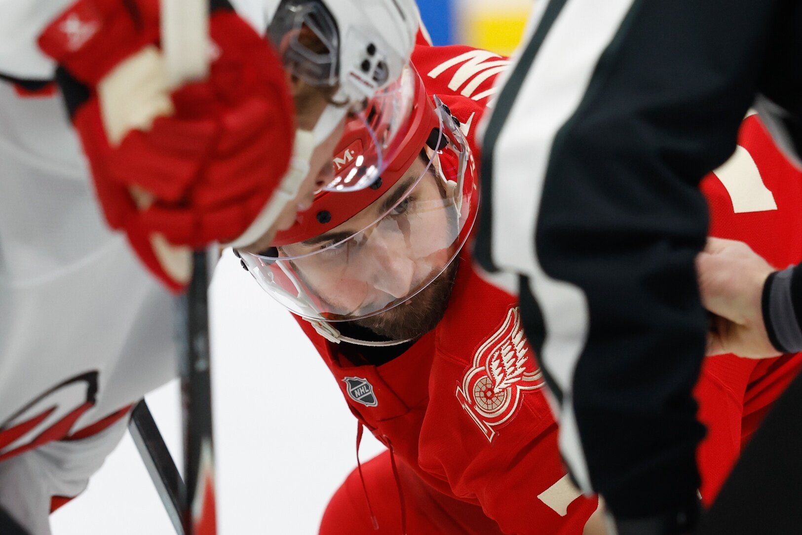 Selvagem simplesmente não tem o suficiente para pousar Dylan Larkin - Wilderness Walk
