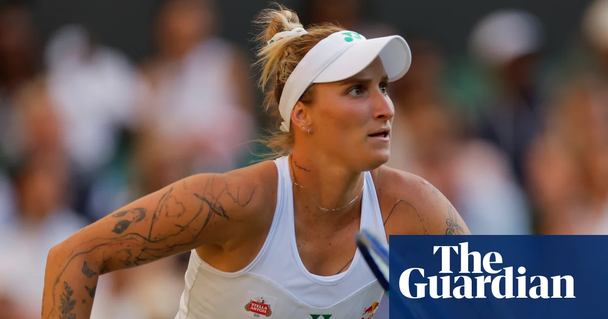 Tomljanović acusa os chefes do serviço antidoping de não procurarem jogadores após a proibição do Vondrous Tennis
